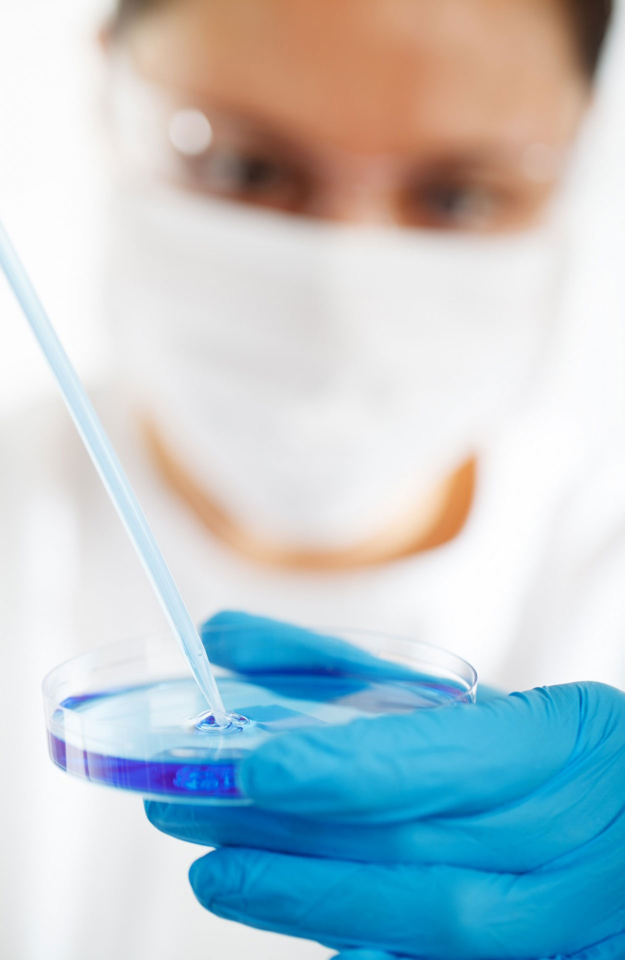 研發(fā)團(tuán)隊(duì)